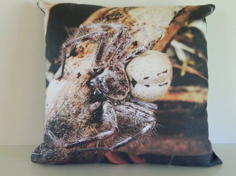 il_570xn-974873152_gvo9